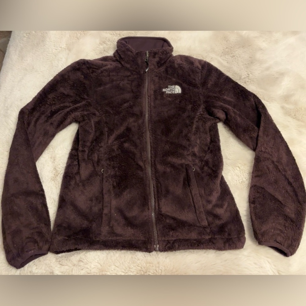 The North Face Purple Jacket